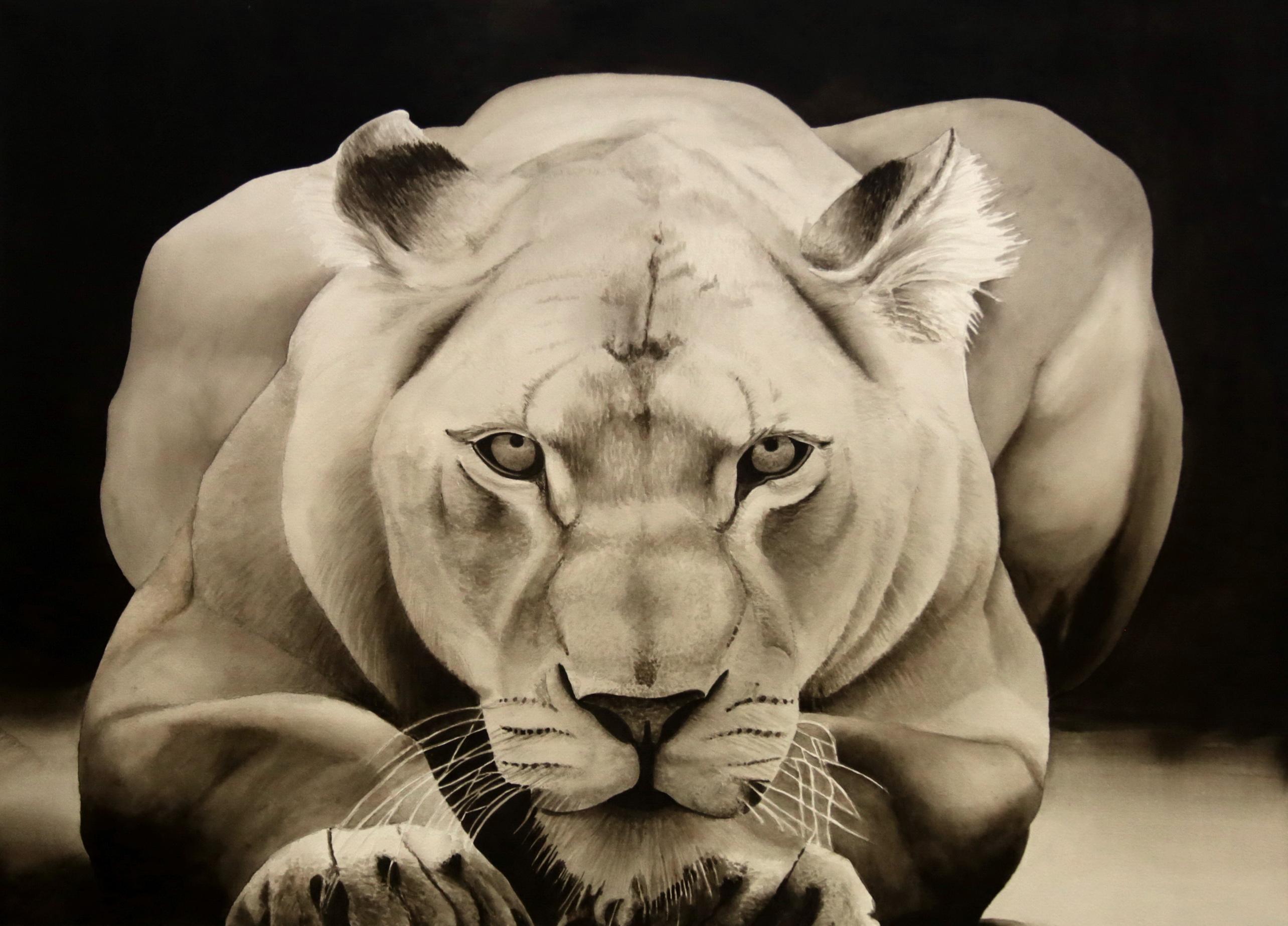 PANTHERA LEO, acuarela sobre papel, 55 cm x 75 cm