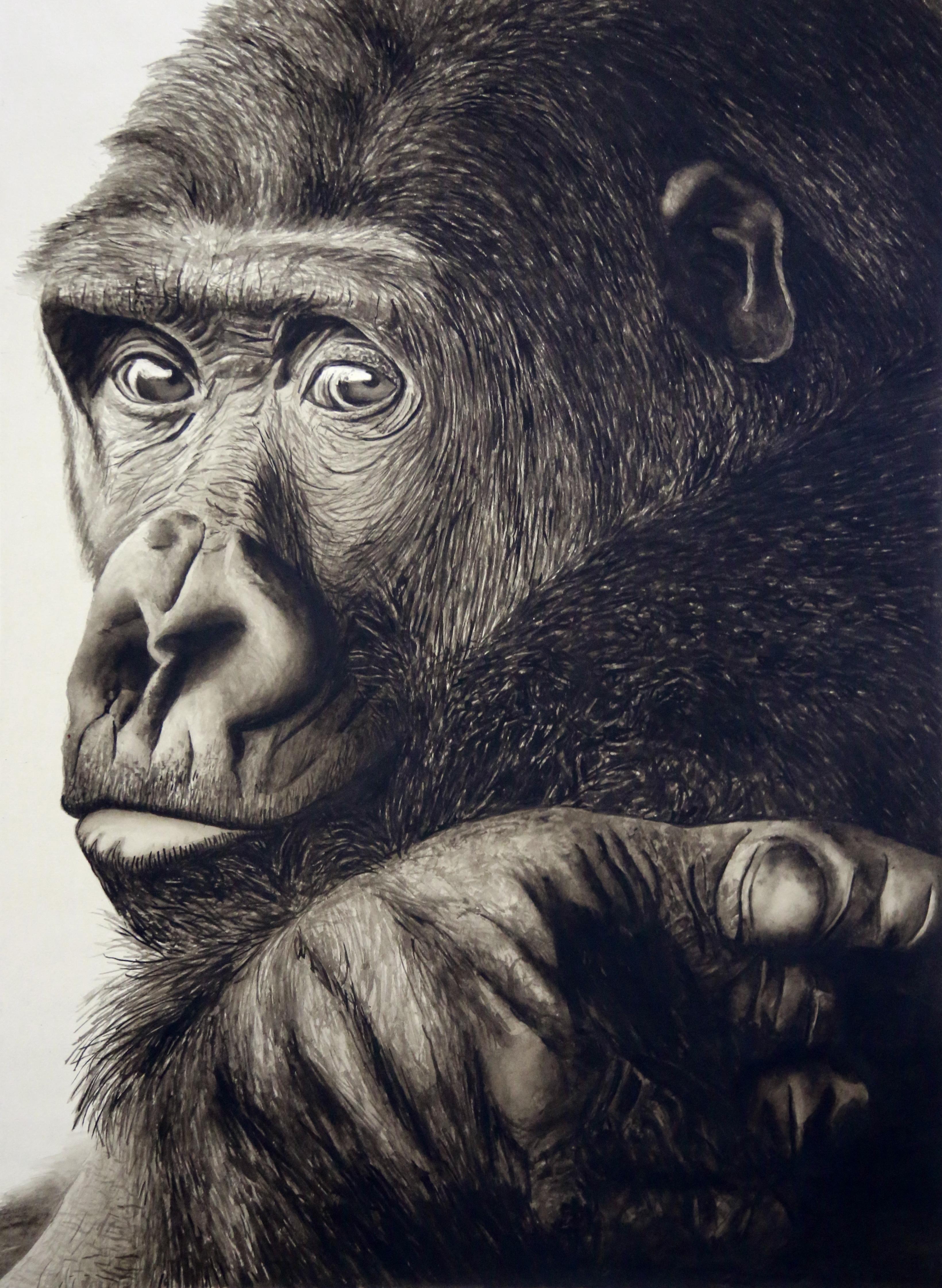 LA COMEZON, acuarela sobre papel, 75 cm x 55 cm